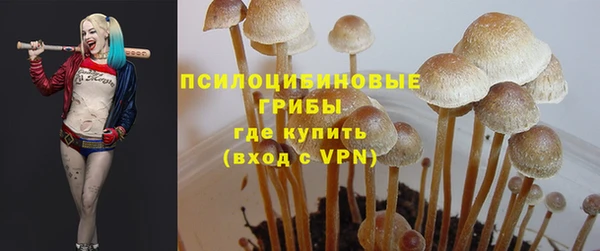 ПСИЛОЦИБИНОВЫЕ ГРИБЫ Балахна