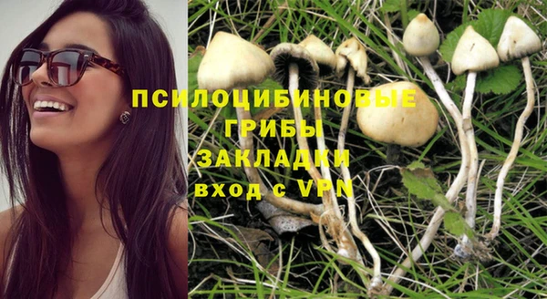 ПСИЛОЦИБИНОВЫЕ ГРИБЫ Балахна