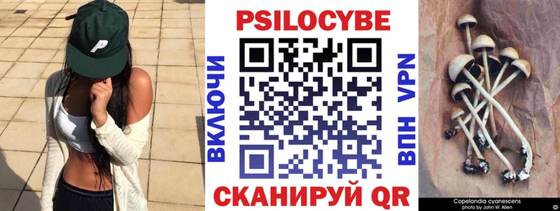 Галлюциногенные грибы Cubensis Урай